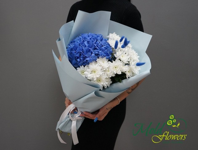 Buchet cu hortensie albastra si crizanteme albe foto